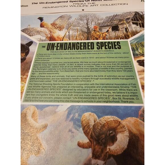 Vintage 1985 Remington DuPont Calendar Wildlife and Hunting Memorabilia - Picture 2 of 7